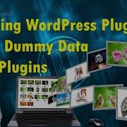 WordPress Plugins Installation Create Dummy Data