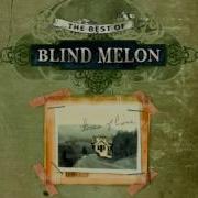 Blind Melon Skinned ACOUSTIC