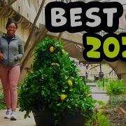 Ultimate Best Of Bushman Prank Compilation 2023