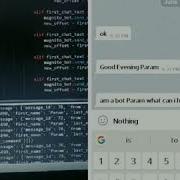 Python Bot