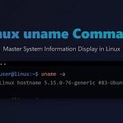 Linux System Info Mastering The Uname Command For Beginners