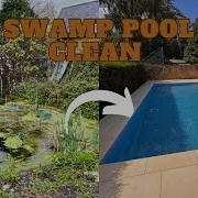FULL TRANSFORMATION OF THE SWAMP POOL