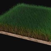 Cinema 4d Hair System For Grass On Redshift