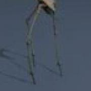 Strider Animation Test