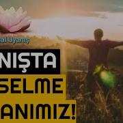 Uyanışta Yükselme Zamanımız Kendimden Özür Diliyorum