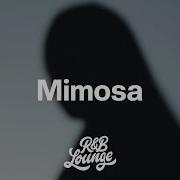 RINI Mimosa Lyrics
