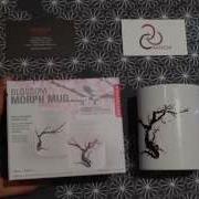 Kikkerland Cherry Blossom Morph Mug Review