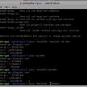 Get Number Of Memory In Java VM