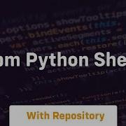 Npm Python Shell