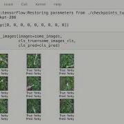 TensorFlow Tutorial 18 TFRecords Dataset API