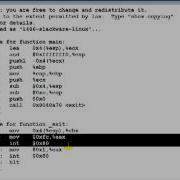 Buffer Overflow Primer Part 2 Writing Exit Shellcode