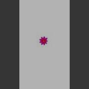 Make Cool Flower Graphics Using Python Turtle Shorts Python Coding