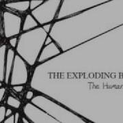 The Exploding Boy Torn HQ
