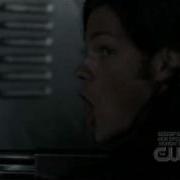 Dean Screaming Yellow Fever