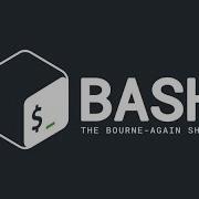 Bash Scripting Variable Assignment And Echo Command