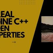 Unreal Engine 5 How To Set Variables Properties In Bulk In C