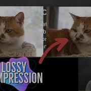 Compression Lossy Lossless AP Computer Science Principles