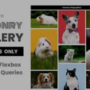 Responsive Masonry Image Gallery Using Pure HTML CSS Only