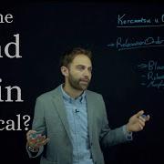 The Mind Brain Identity Theory