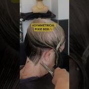 Asymmetrical PIXIE Bob Full Tutorial Linked Below