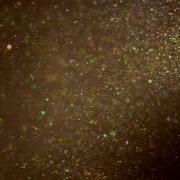Orange Background With Dust Particles 7 Free Stock Footage