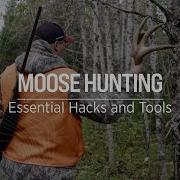Born To Hunt Tips And Tricks For Moose Hunting