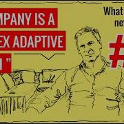 ASSUMPTION 1 A Company Is A Complex Adaptive System TheStrategyAcademy