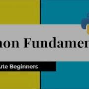 Python Fundamentals Part 2 Class XI CBSE Comments Input And Print