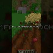 Harvesting Custom Crops On My Server Is So Satisfying