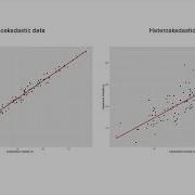 Linear Regression Assumptions