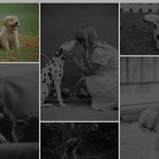How To Make Fluid Responsive Image Gallery By Using CSS CSS Flex