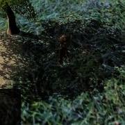 First Experiences With JMonkeyEngine3