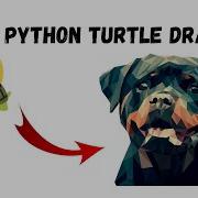 Amazing Python Turtle Dog Drawing