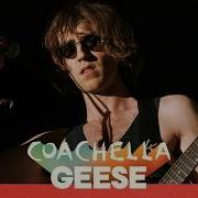 Geese Trinidad Live At Coachella 2026