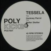 Tessela Hackney Parrot