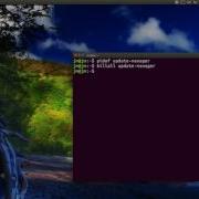 Kill Off A Non Responding Program In Linux Mint And Ubuntu