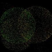 Computer Generated Fireworks