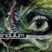 Pendulum Through The Loop