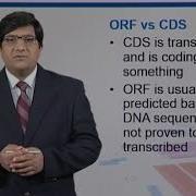 Topic118 GenePrediction