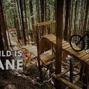 This Trail Builder Went Too Far