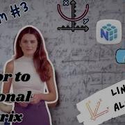 Convert Vector To Diagonal Matrix In Python NumPy Trick Explained