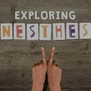 What Color Is Tuesday Exploring Synesthesia Richard E Cytowic