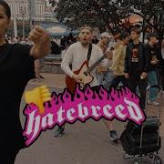 Hatebreed In PUBLIC 2024