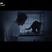 Kobay Fragman Bloodwork Trailer 2011