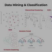 Omics Logic Learn Bioinformatics