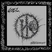 Gel Only Constant 2023 Full Album