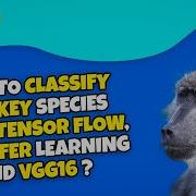 Передача обучения тонкая настройка предварительно обученной модели VGG16 для классификации обезь