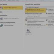Создание базы данных ADO в Delphi MS Access