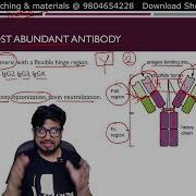 Antibodies Structure And Functions Types Of Antibodies Immunoglobulins Strcture