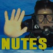 PADI Open Water как погрузиться с аквалангом за 5 минут
